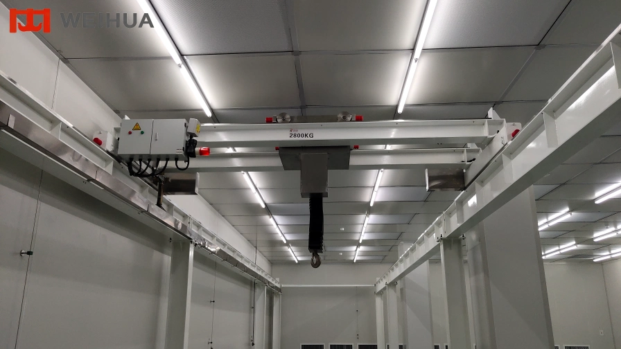 Cleanroom Overhead Crane.webp